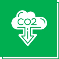Decarbonization Expertise